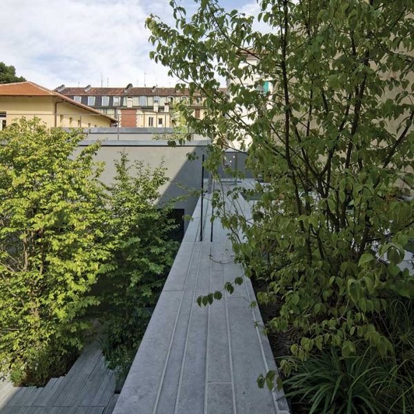 LA CASA TRA GLI ALBERI - Progetto Riva Marmi